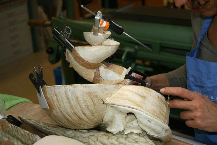 Auzoux papier-mâché modellen