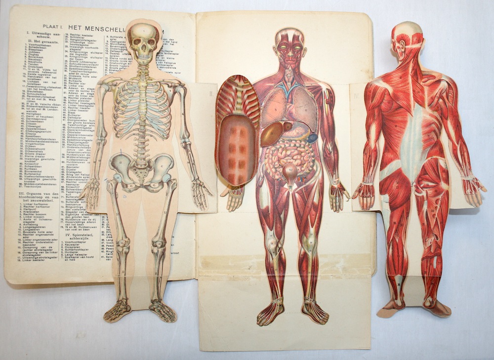 Beweegbare anatomische boeken