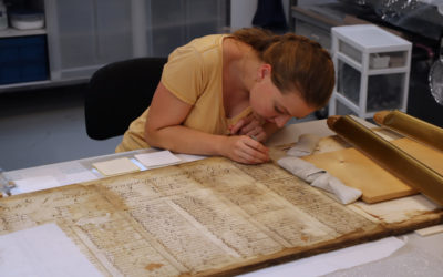 Four square metres of historic parchment